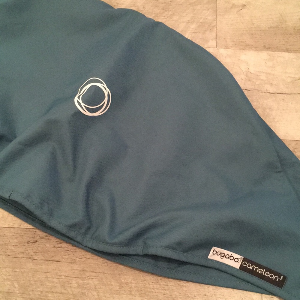 Teal bugaboo hood